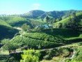 /album/photogallery/munnar-bunglow-jpg/